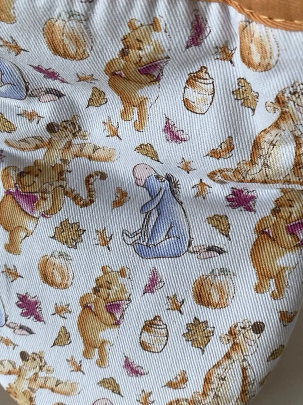 Disney pack winnie